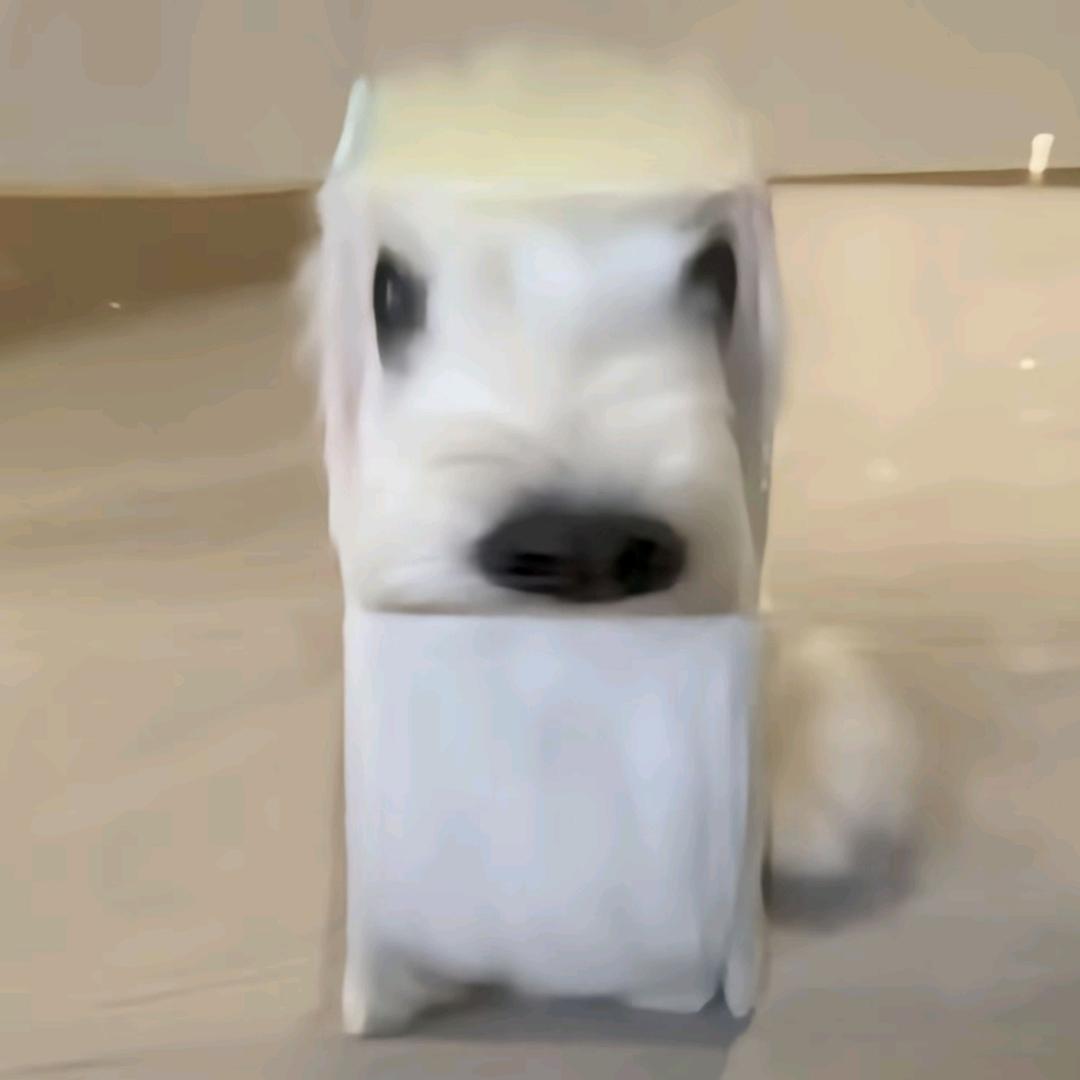 康贝瑞拉