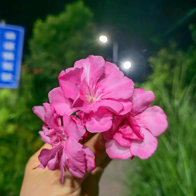 褪色