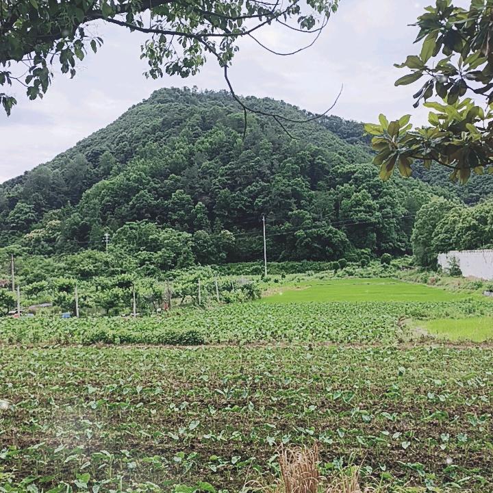 看破红尘