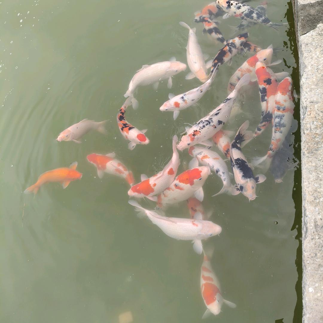 万事皆可期