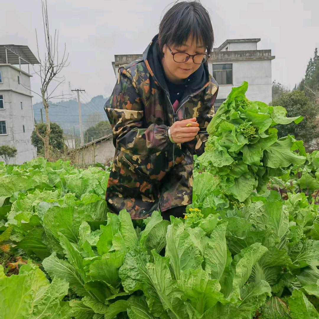 恩施玲姐农村生活
