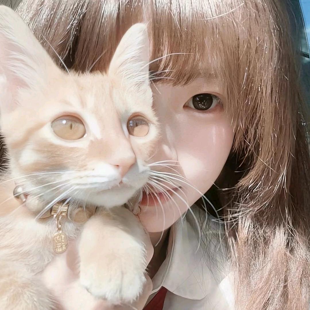 人生若只如初见