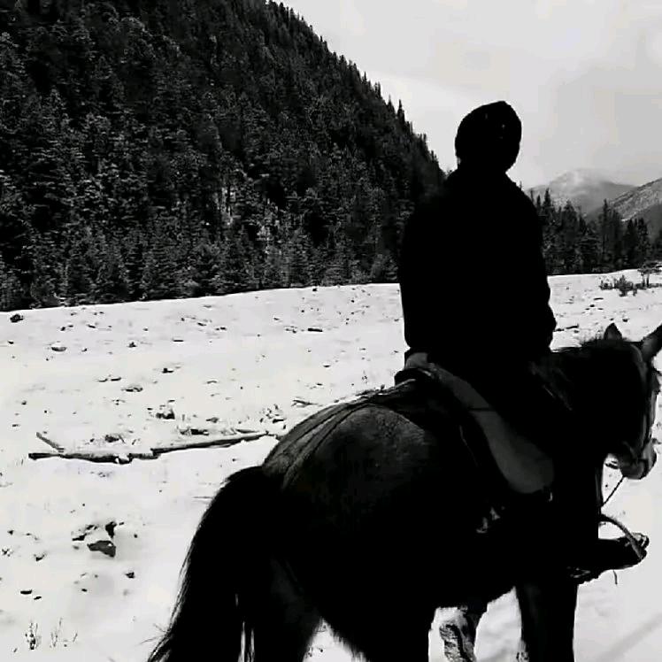 心情不好都怪你