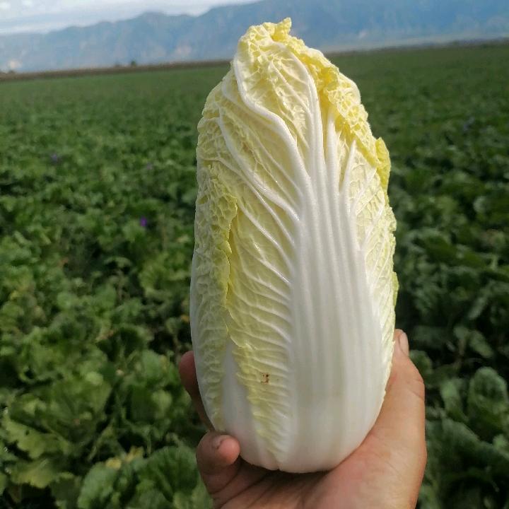心海无边