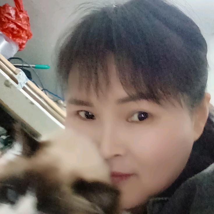 往事随风