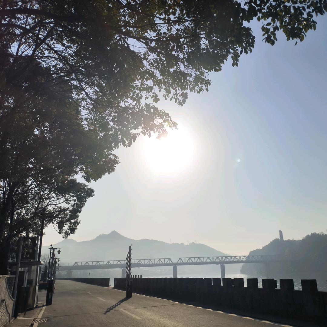 一心两用🌻🌻