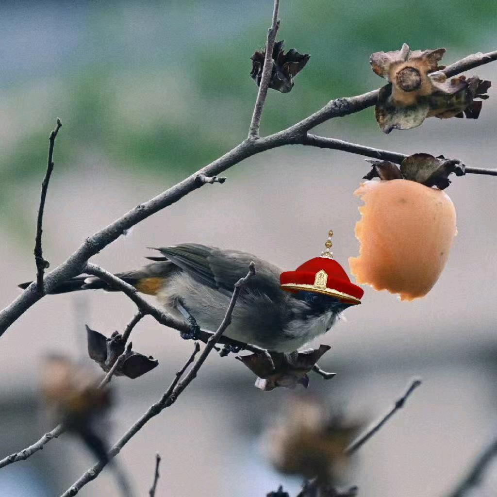 三季虫