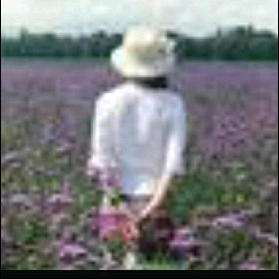 陪读麻麻的日常