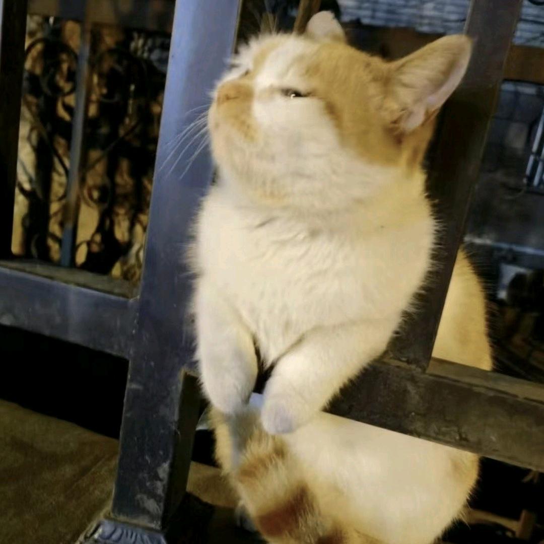 补充维生素ABCDEF