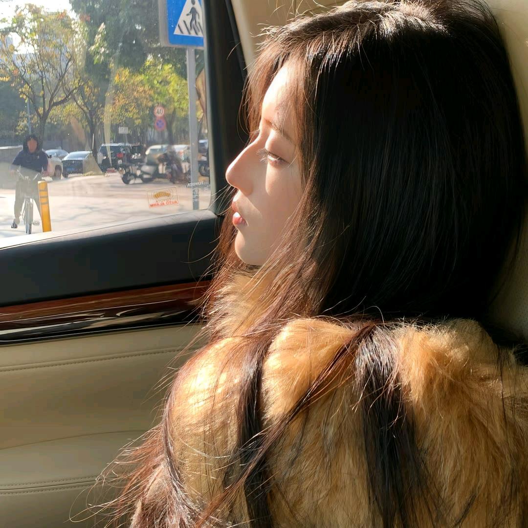 别烦猫猫.