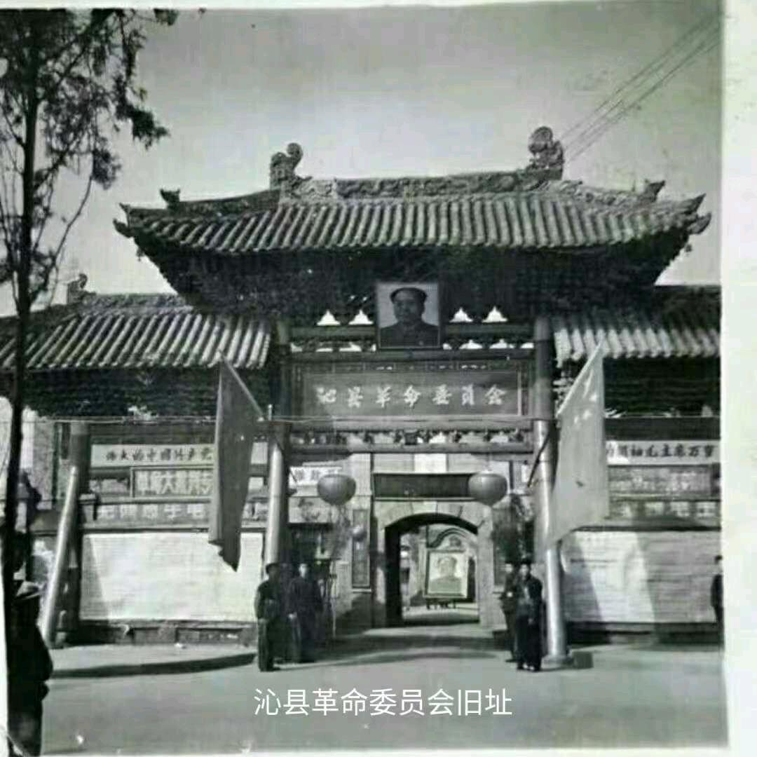 骑自行车逛酒吧