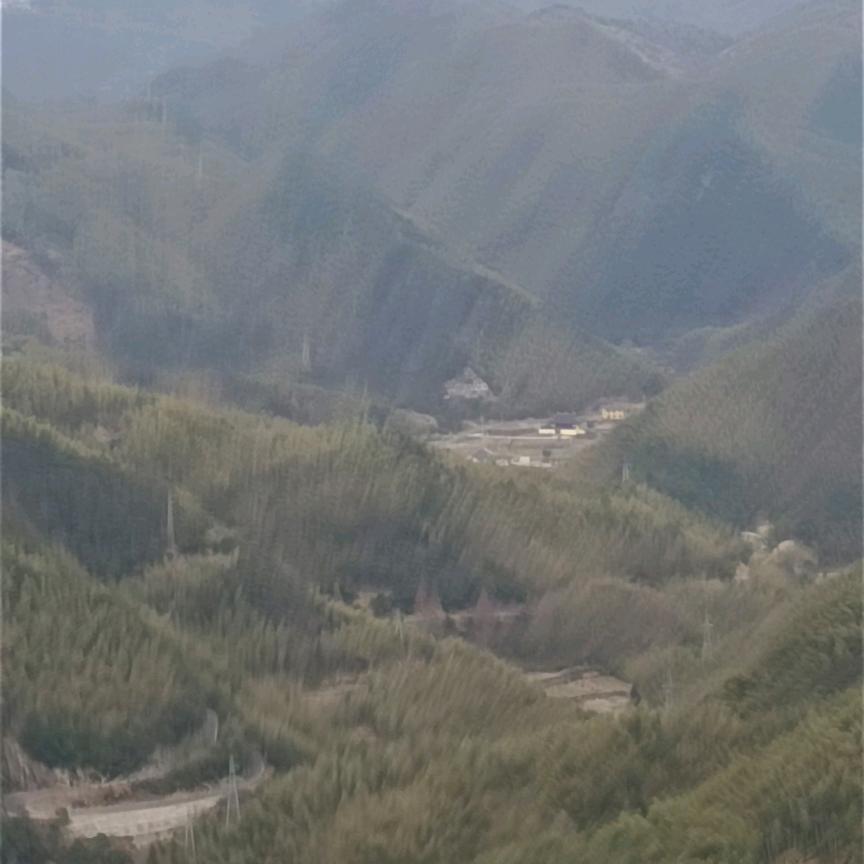 用户