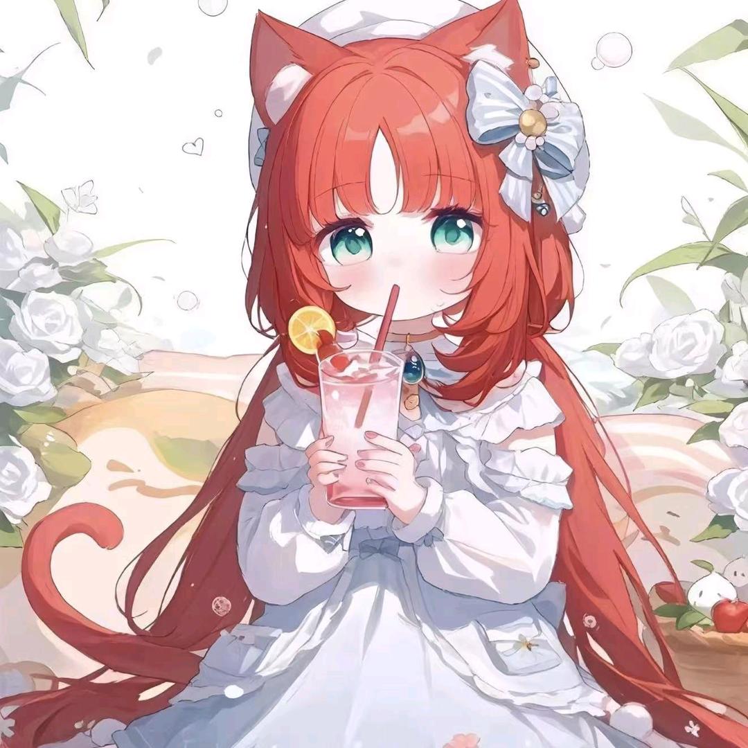 幼稚园猫猫