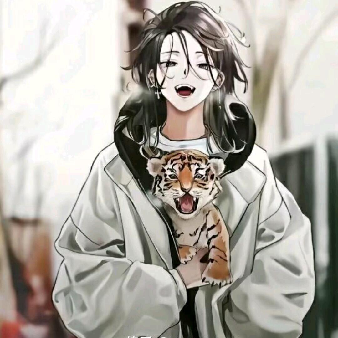 猫锦