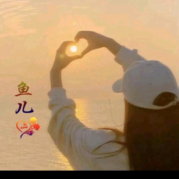 鱼儿4655