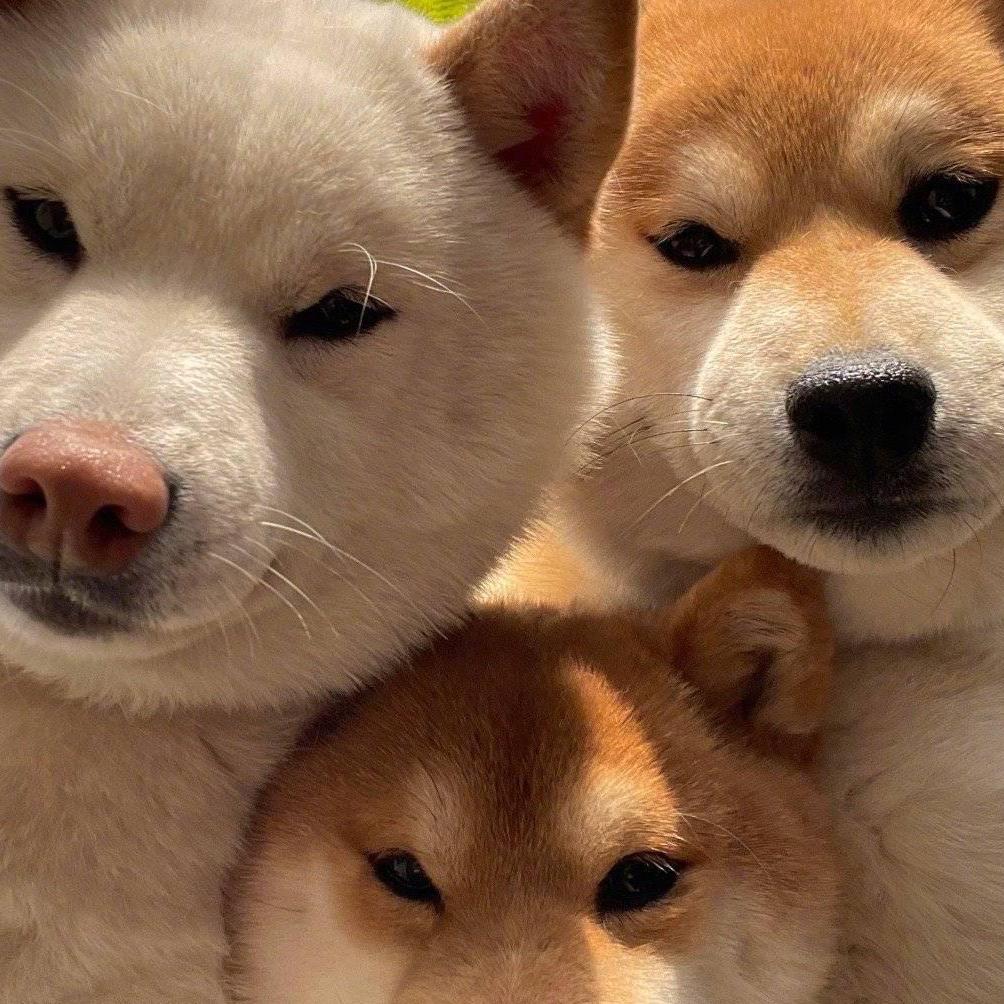 窅渺