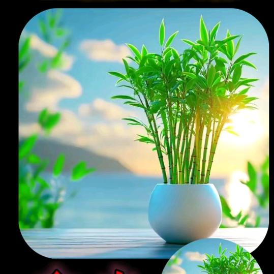 长乐ꦿ永康꧔ꦿ້໌ᮨ☀️