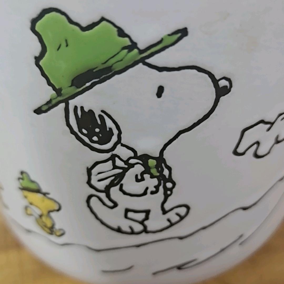 丢了一只🐷