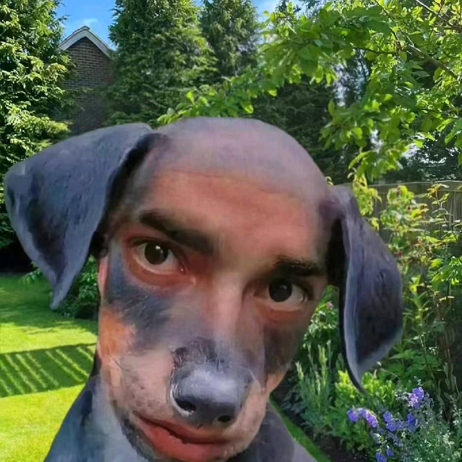 忘掉