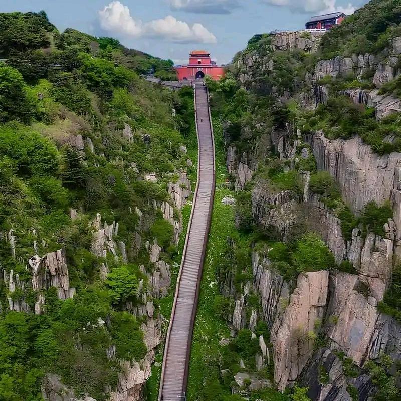 去泰山看迎客松