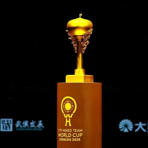 骑着主播找媳妇