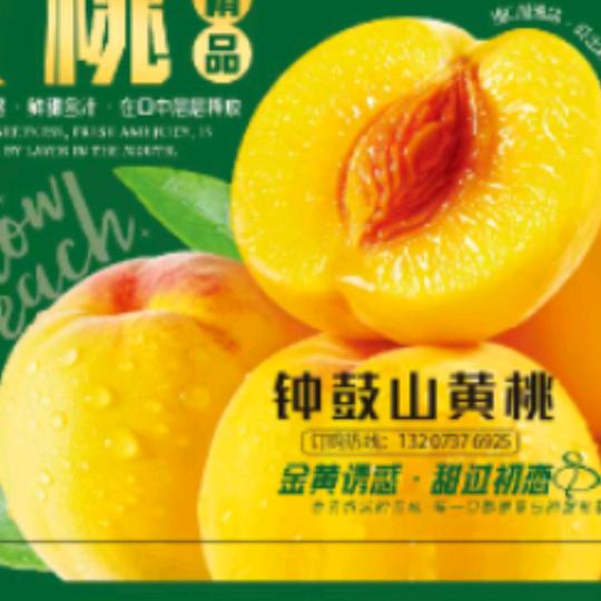 钟鼓山有机果园