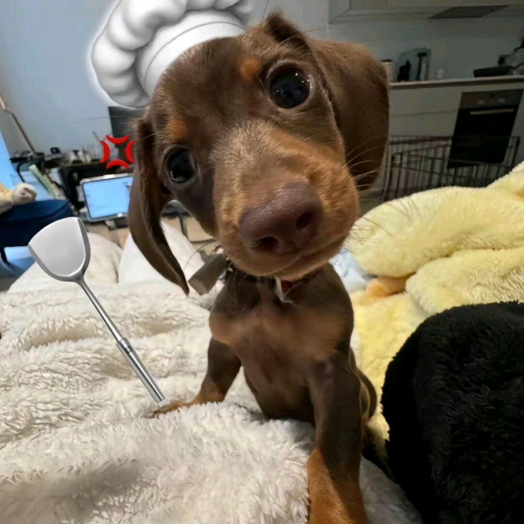 开心的土豆炖茄子.