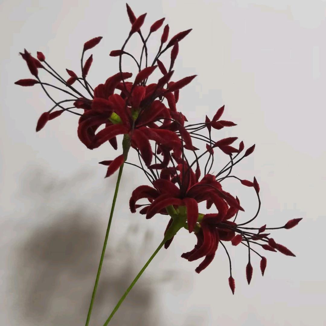 এ᭄兜里有🍭ོꦿ࿐