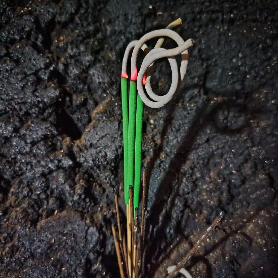 晚枫919