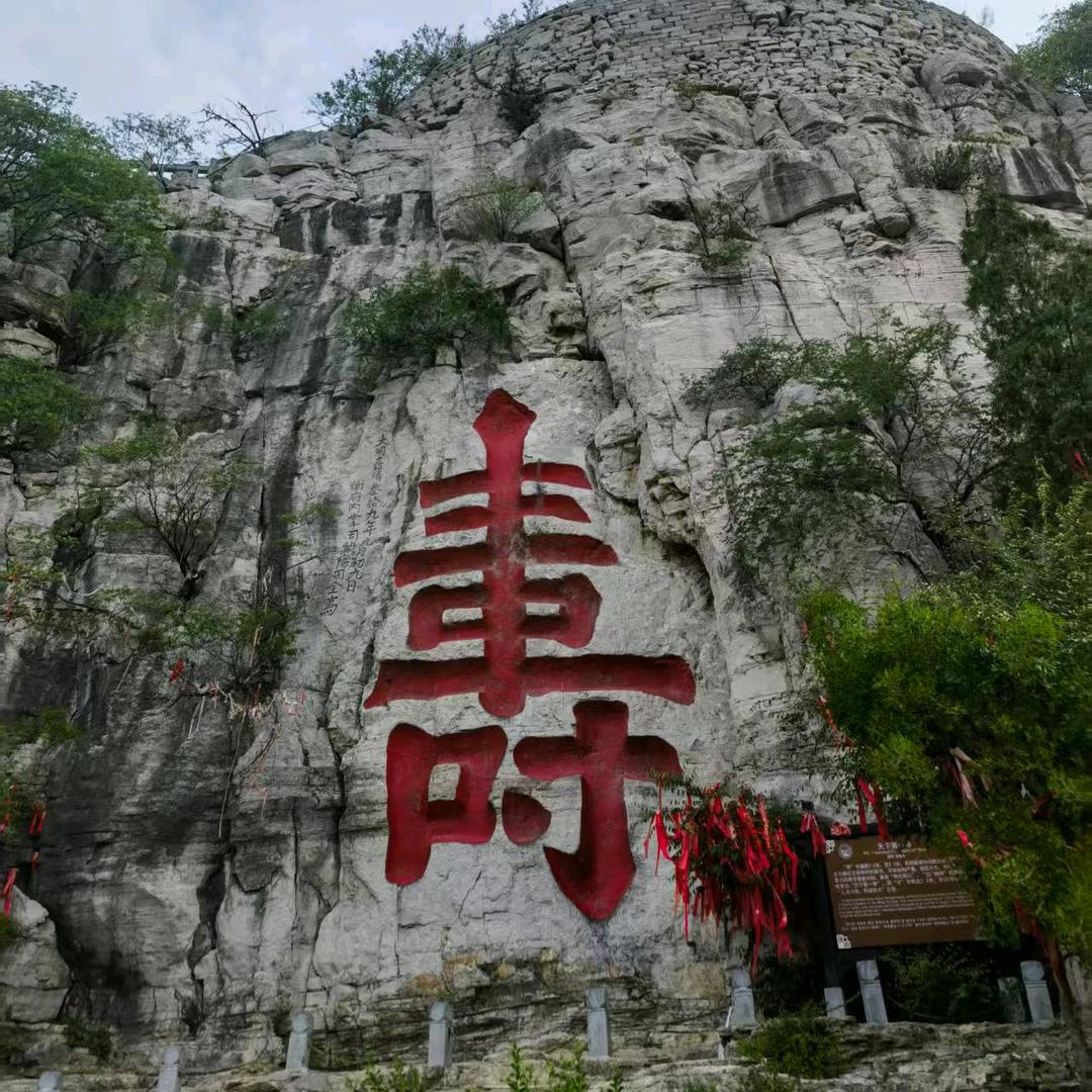 丽儿