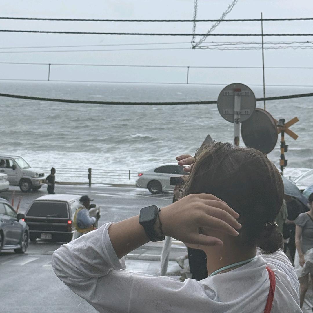 宝姐