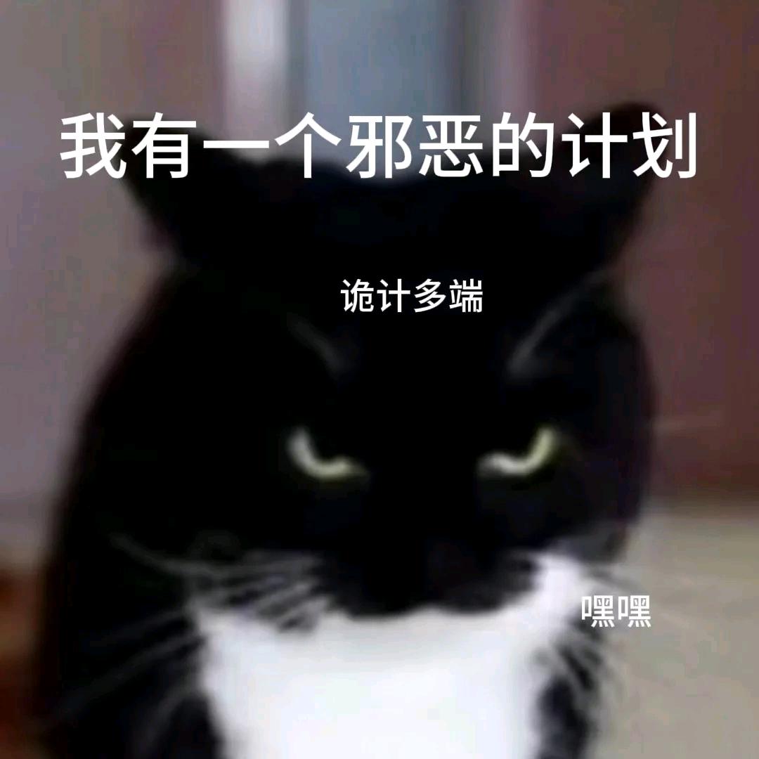 諻鹤
