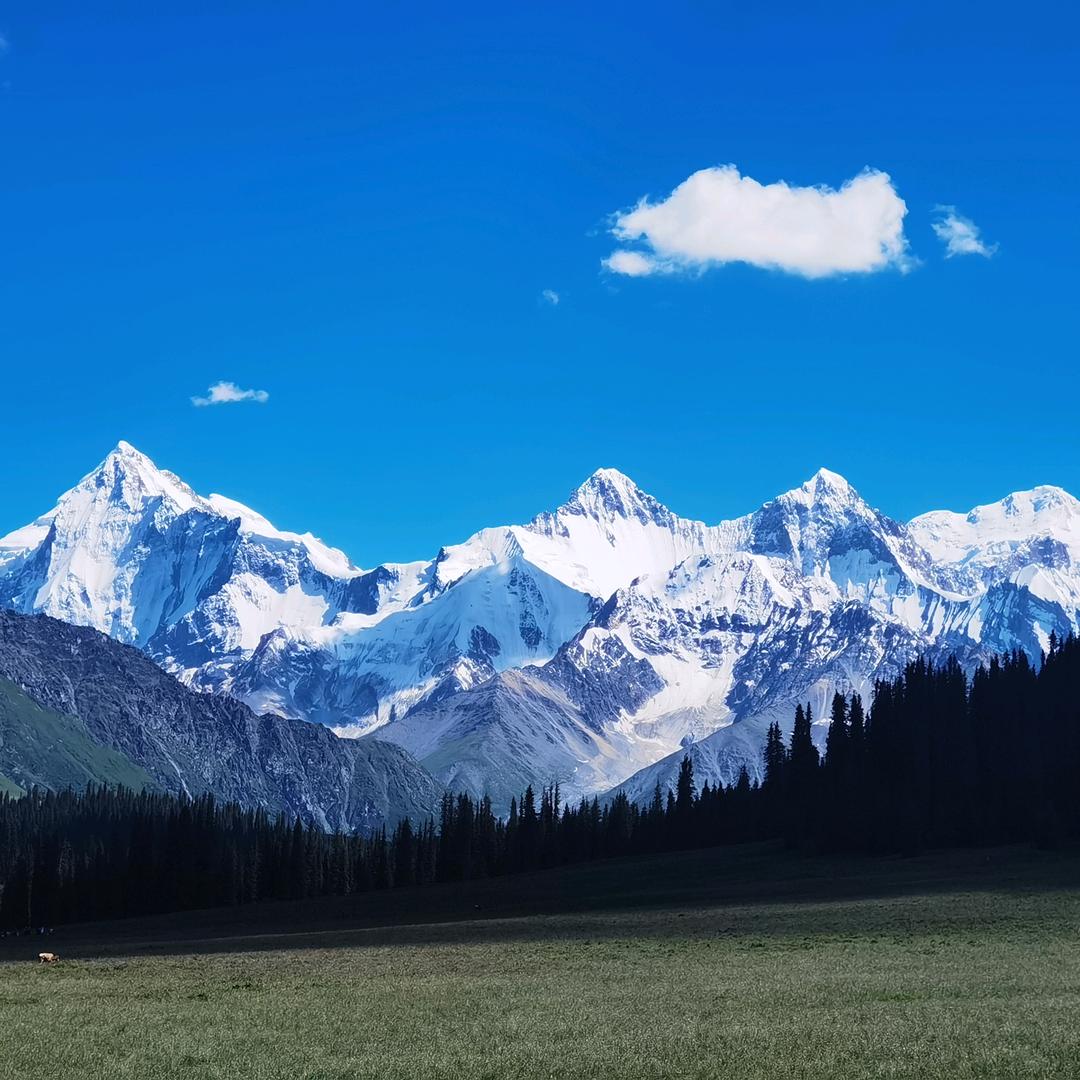 景彡