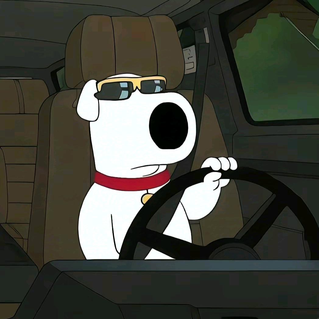 杨老师（专注留学）