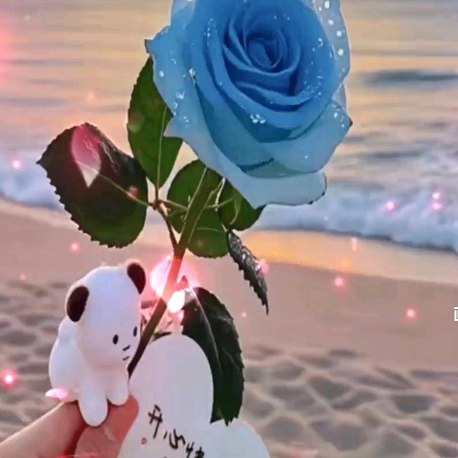 @💞ℳღ᭄兜里半颗糖🍬