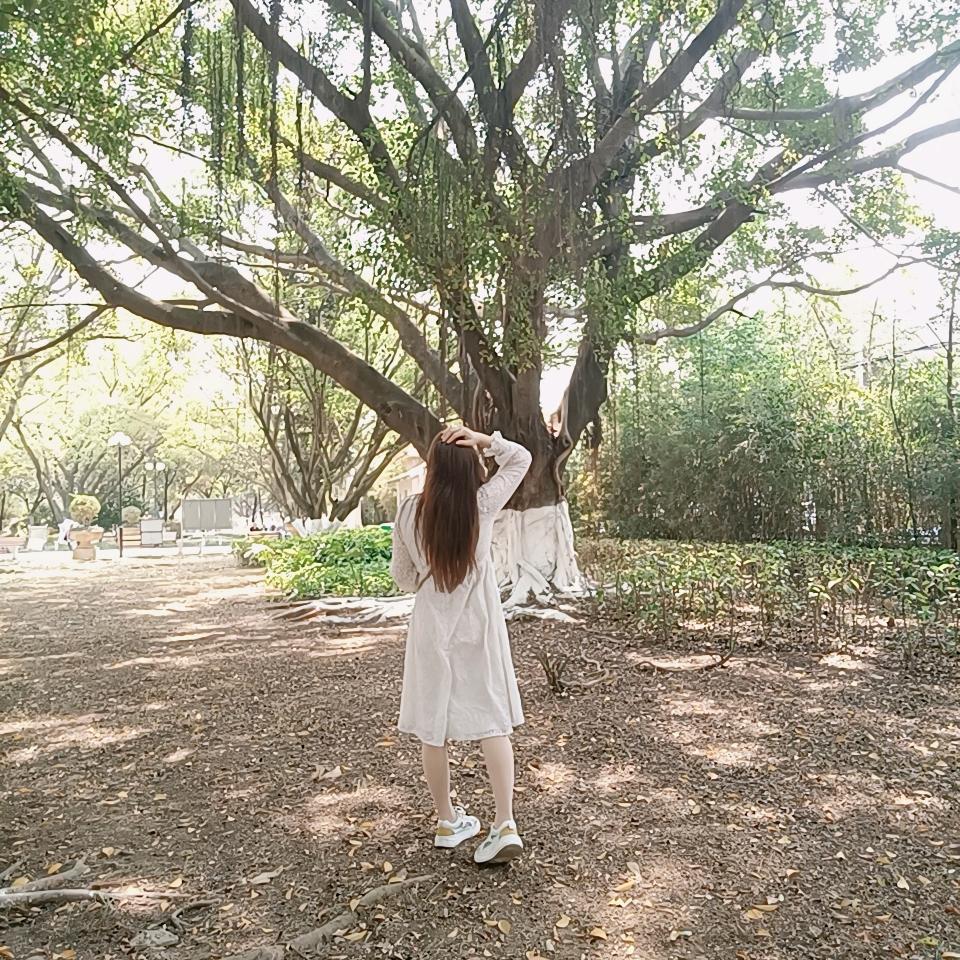 瑶瑶