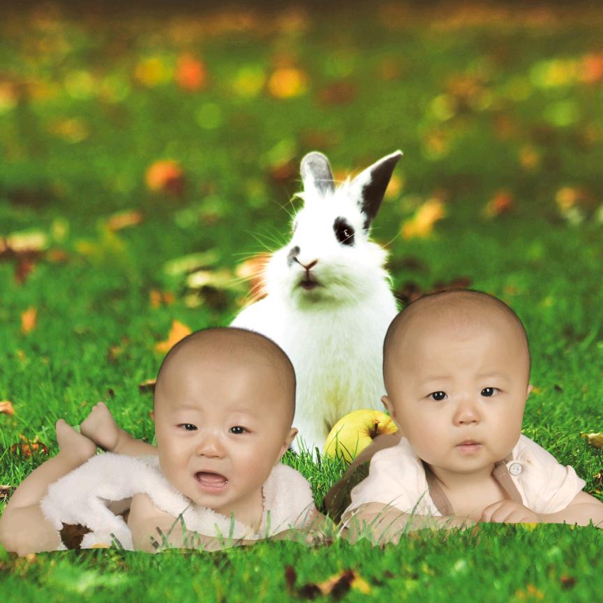 {双胞胎宝妈}🙏🙏