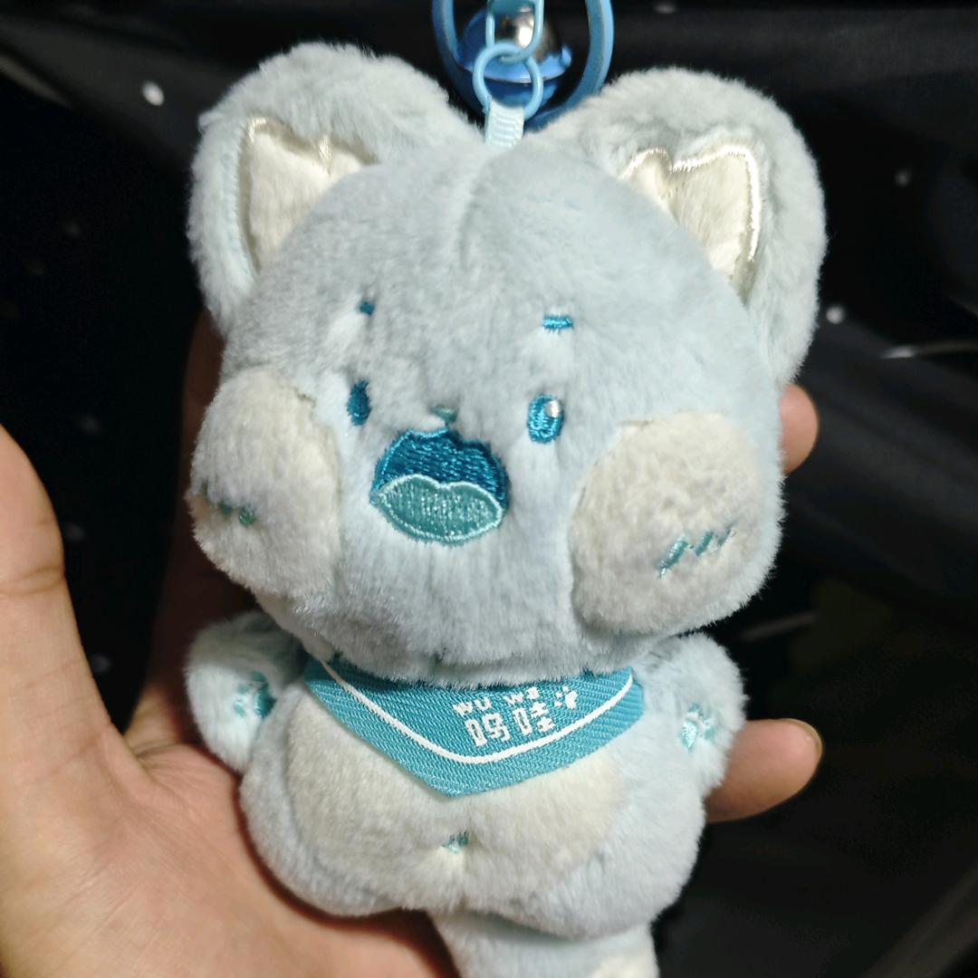 河北师大24级学长