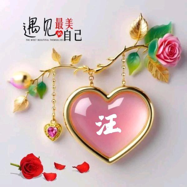 鱼忘七秒人忘七年