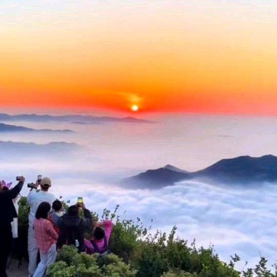 泰山陌汐