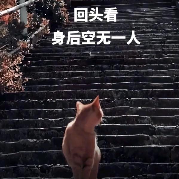凉栀