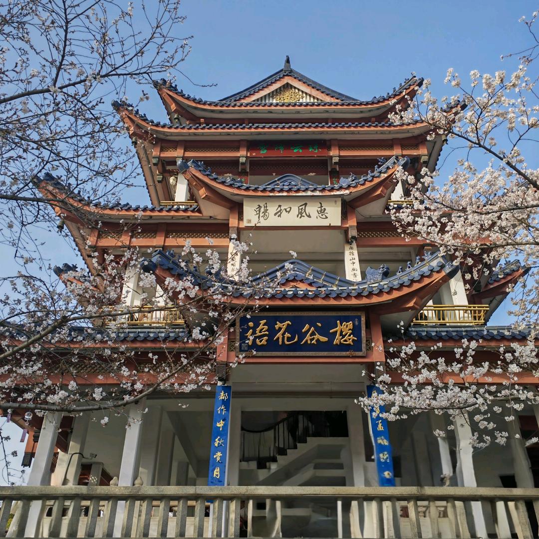 莫须言