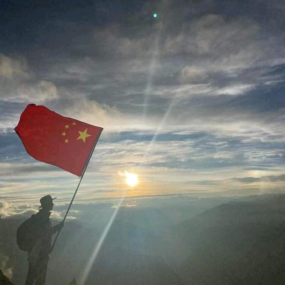 呆呆