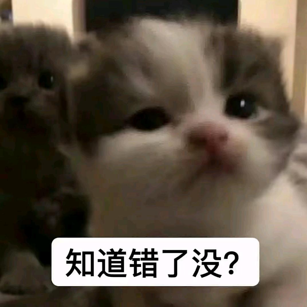 我败事有鱼