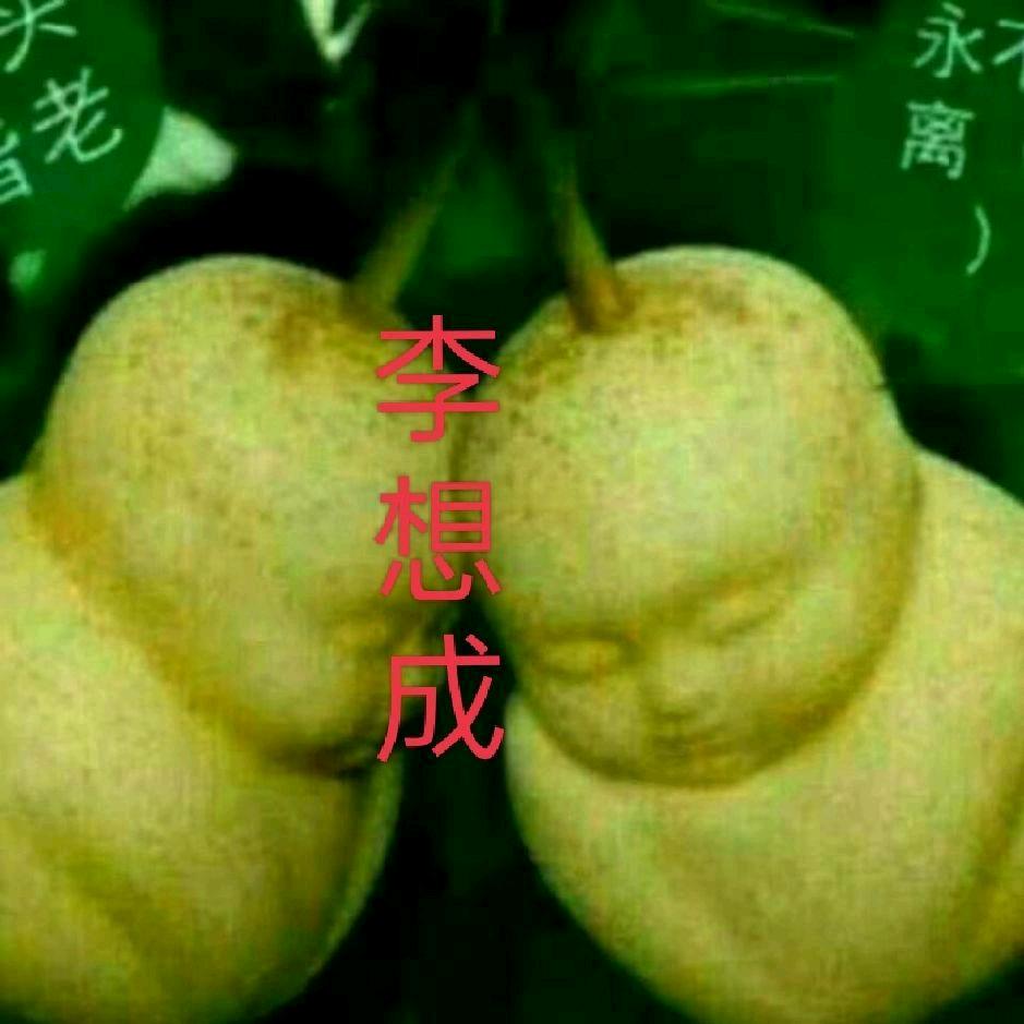 李想事成