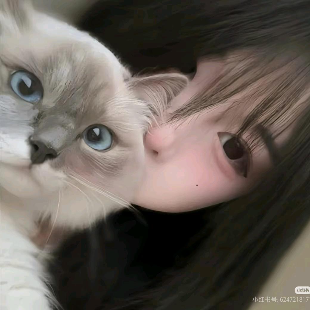 岑栀槐