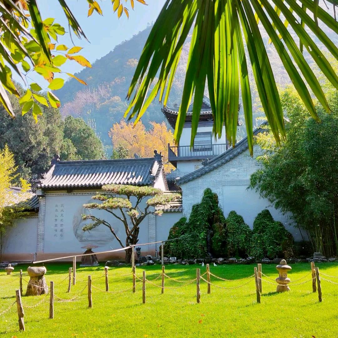 上上签。💰💰💰