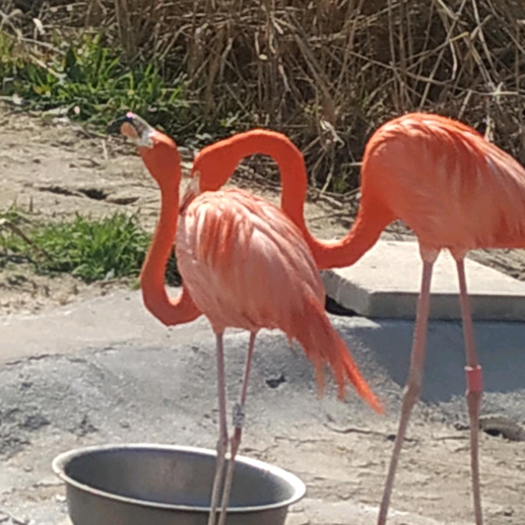 @小太阳，吉祥如意