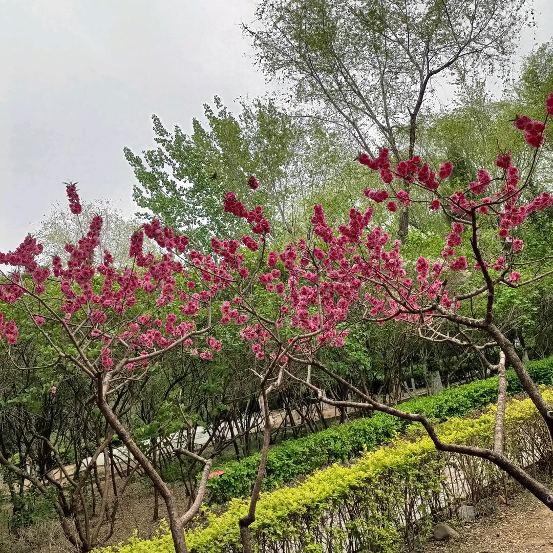 清欢🌱