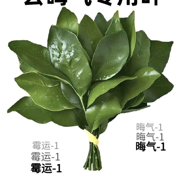 旺旺